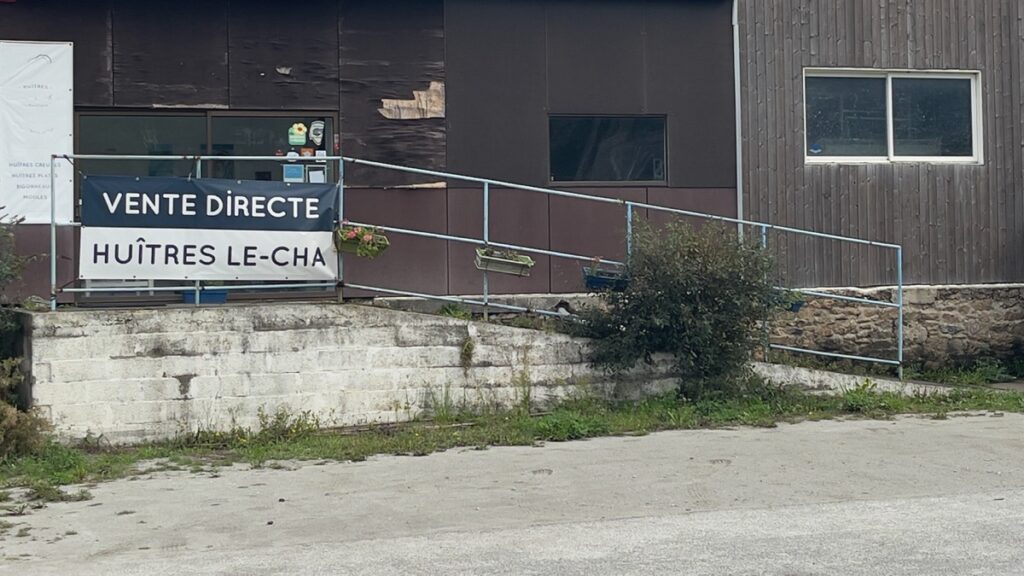 Vente d'huîtres Le Cha